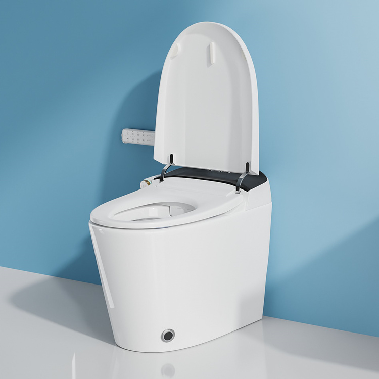 สุขภัณฑ์อัจฉริยะสำหรับตกแต่งบ้ - Home In Bathroom บทวิจารณ์และราคา