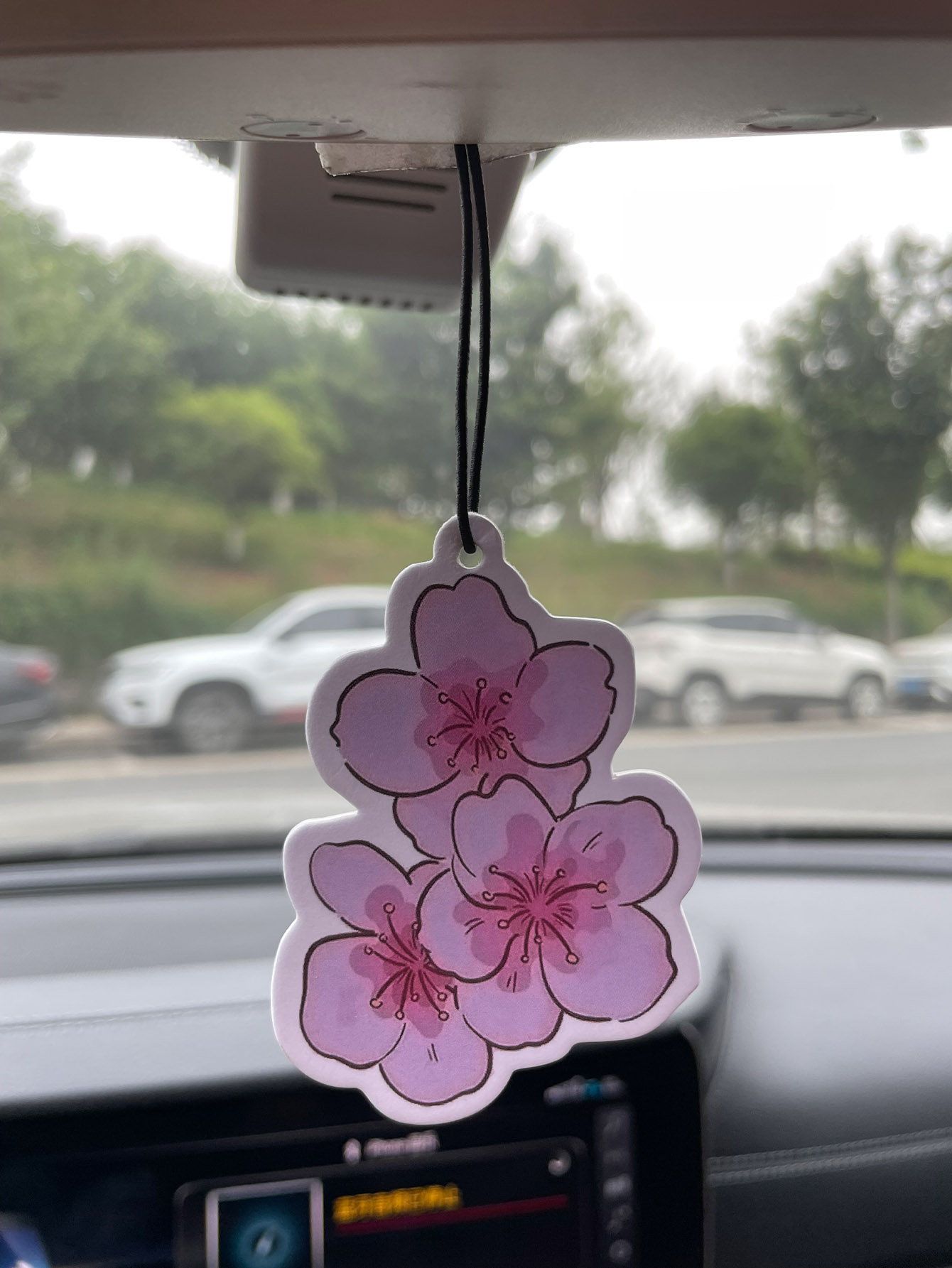 น้ำหอมปรับอากาศในรถยนต์กลิ่นซา - Bathroom Home Essentials Store บทวิจารณ์และราคา